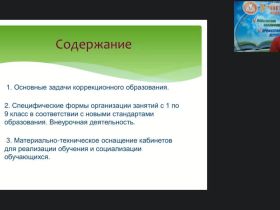 Вебинар "Организация коррекционно-развивающего пространства для обучения и социализации обучающихся с умственной отсталостью (интеллектуальными нарушениями)"