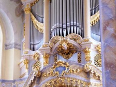 Витражи Notre-Dame