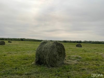 В Якутии заготовлено более 1600 тонн сена