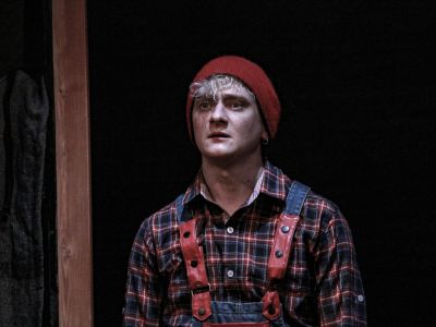 Чудесное путешествие Нильса с дикими гусями (Вернадского, 13)