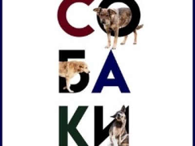 Собаки