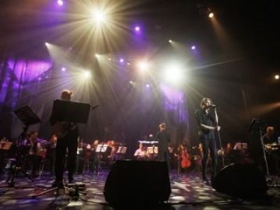 Desert Rose Symphony