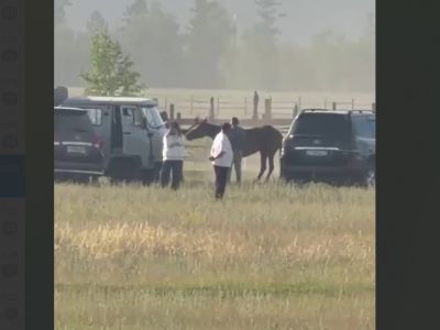 «Прекратить мучения»: на скачках в Якутске умертвили лошадь, сломавшую обе ноги
