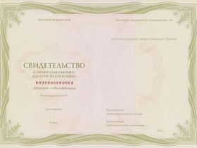 Профессиональное обучение по программе «Статистик» (144 ч.)
