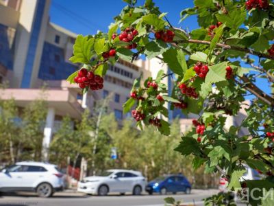 Что изменится в жизни россиян с августа 2026 года
