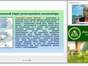 Характеристика детей с ОНР: определение, периодизация, обследование