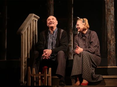 Земля Эльзы (Драматический театр им. Пушкина)
