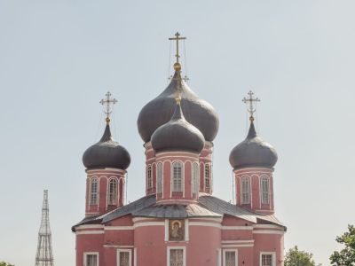 Древняя обитель: экскурсия по территории Донского монастыря с посещением усыпальницы Голицыных и подъемом на башню (Донской монастырь)