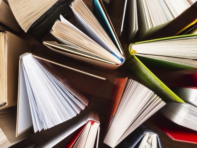Девушка с жемчужной серёжкой: книга, фильм, образ (Люмьер-Холл)