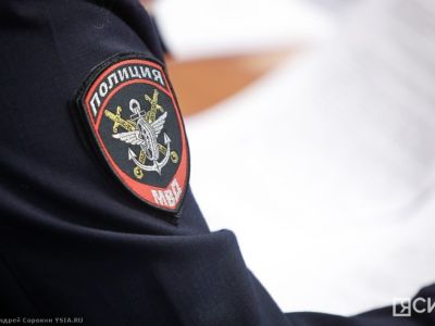 Жителя Нижнего Бестяха доставили в полицию из-за фейковой фотографии с медведем