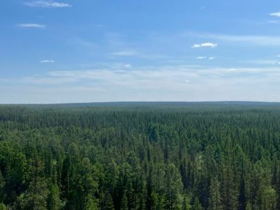 В Якутии с лесозаготовителя взыскали 1,4 млн рублей за ущерб экосистеме