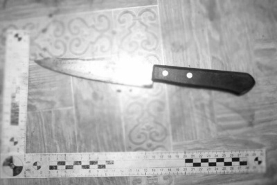 В Мирнинском районе осужден мужчина, ударивший отца ножом / ЯСИА   
