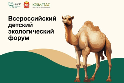 Проект якутских школьников вышел в финал всероссийского экологического форума / ЯСИА   