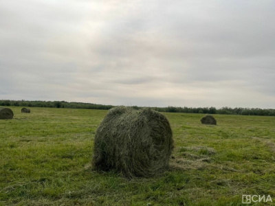 В Якутии заготовлено более 1600 тонн сена / ЯСИА   Республика Саха (Якутия)