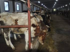 Пандемия, социальные объекты, сельское хозяйство. Глава Ленского района Якутии подвел итоги года