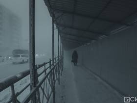 Собачий пат: Как закон об ответственном обращении с животными породил безответственность в Якутске