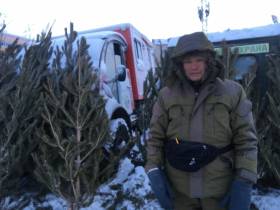 Сколько стоит новогодняя елка? Обзор крупных торговых точек Якутска