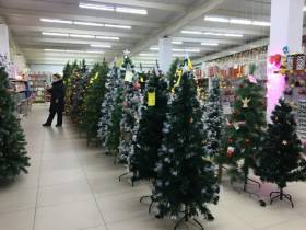 Сколько стоит новогодняя елка? Обзор крупных торговых точек Якутска