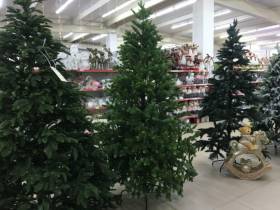 Сколько стоит новогодняя елка? Обзор крупных торговых точек Якутска