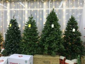 Сколько стоит новогодняя елка? Обзор крупных торговых точек Якутска