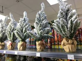 Сколько стоит новогодняя елка? Обзор крупных торговых точек Якутска