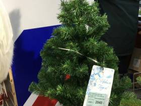 Сколько стоит новогодняя елка? Обзор крупных торговых точек Якутска