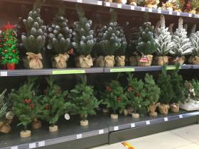 Сколько стоит новогодняя елка? Обзор крупных торговых точек Якутска