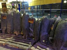 Сколько стоит новогодняя елка? Обзор крупных торговых точек Якутска