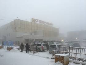 Сколько стоит новогодняя елка? Обзор крупных торговых точек Якутска