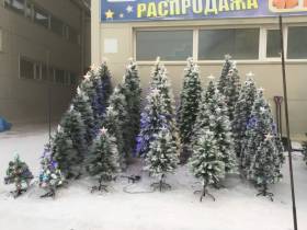 Сколько стоит новогодняя елка? Обзор крупных торговых точек Якутска