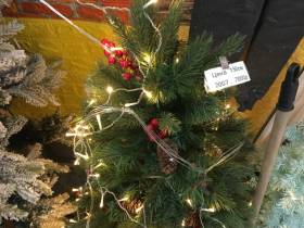 Сколько стоит новогодняя елка? Обзор крупных торговых точек Якутска