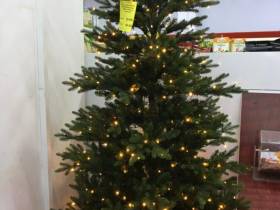 Сколько стоит новогодняя елка? Обзор крупных торговых точек Якутска
