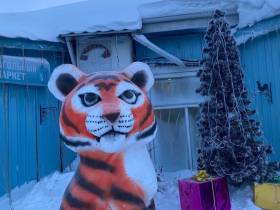 Фотоподборка символов наступающего года от мастеров из Якутии