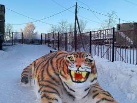 Фотоподборка символов наступающего года от мастеров из Якутии