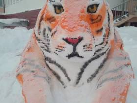 Фотоподборка символов наступающего года от мастеров из Якутии