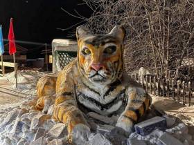 Фотоподборка символов наступающего года от мастеров из Якутии