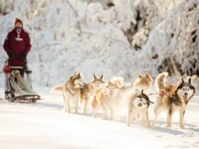 Новый год на дальневосточных гектарах. Участники программы приглашают гостей