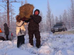 Якутское отделение Русского географического общества запустило челлендж "Помоги детям природы"