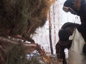 Якутское отделение Русского географического общества запустило челлендж "Помоги детям природы"