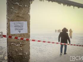 3 тысячи собак смогут содержать в пункте передержки животных на Очиченко в Якутске после расширения