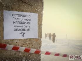 3 тысячи собак смогут содержать в пункте передержки животных на Очиченко в Якутске после расширения