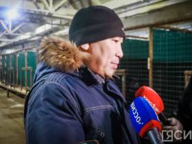 3 тысячи собак смогут содержать в пункте передержки животных на Очиченко в Якутске после расширения
