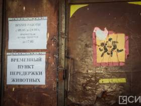 3 тысячи собак смогут содержать в пункте передержки животных на Очиченко в Якутске после расширения