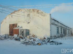 3 тысячи собак смогут содержать в пункте передержки животных на Очиченко в Якутске после расширения