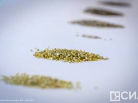 На Якутском предприятии по торговле алмазами презентовали современное оборудование