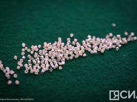 На Якутском предприятии по торговле алмазами презентовали современное оборудование