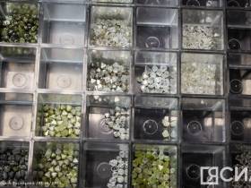 На Якутском предприятии по торговле алмазами презентовали современное оборудование