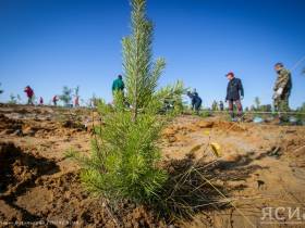 Евгений Перфильев о лесопожарном сезоне, карбоновых полигонах и углеродно-нейтральном статусе