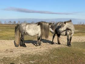Агротуризм: Отдых и труд в якутской деревне