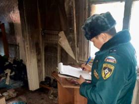 Дознавателями Государственного пожарного надзора Якутии по фактам пожаров возбуждено 24 уголовных дела